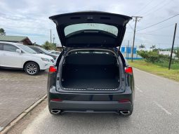 
										2016 LEXUS NX200T full									